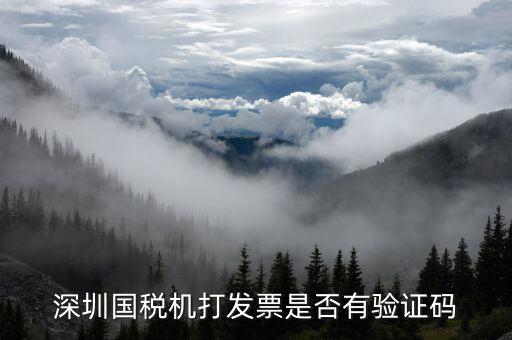 為什么用微信深圳國稅，深圳寶安區(qū)的騰訊網(wǎng)財務(wù)負(fù)責(zé)人是誰