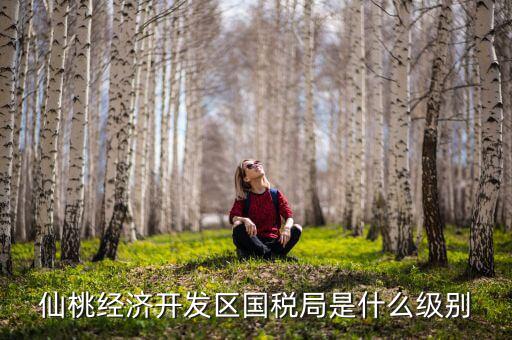 仙桃稅務(wù)局局長是什么級別，仙桃經(jīng)濟開發(fā)區(qū)國稅局是什么級別