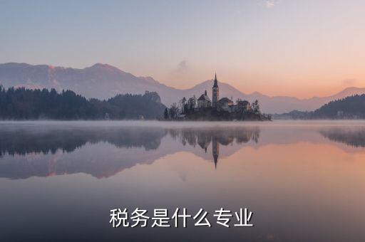 中文專業(yè)和稅務(wù)專業(yè)沒什么關(guān)系啊，稅務(wù)專業(yè)有哪些相近專業(yè)
