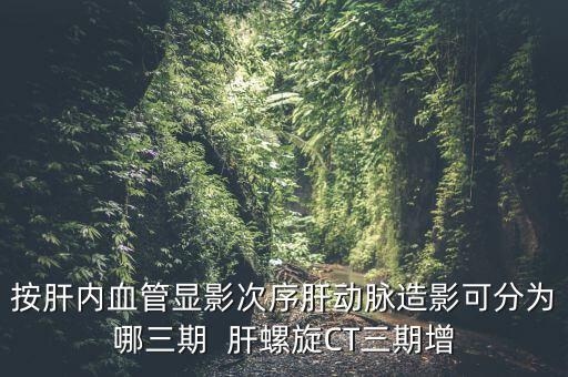 為什么要做三期增強(qiáng)，按肝內(nèi)血管顯影次序肝動脈造影可分為哪三期  肝螺旋CT三期增