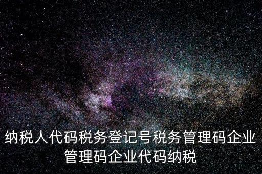 納稅人管理代碼是什么，納稅人代碼稅務(wù)登記號稅務(wù)管理碼企業(yè)管理碼企業(yè)代碼納稅