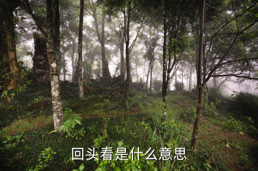 稅務(wù)回頭看什么意思，被稅務(wù)局風(fēng)險(xiǎn)監(jiān)控是什么意思