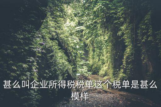企業(yè)所得稅稅單是什么，稅單是什么怎樣提供稅單