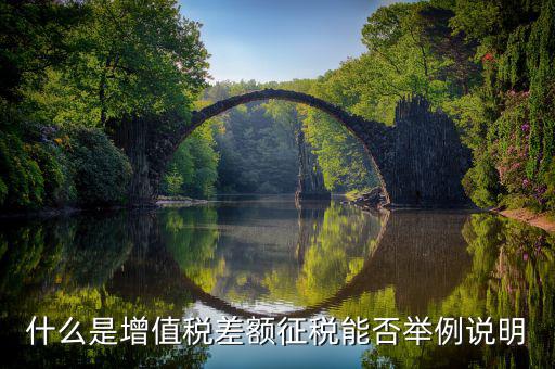 小規(guī)模增值稅差額征收什么意思，什么是增值稅差額征稅