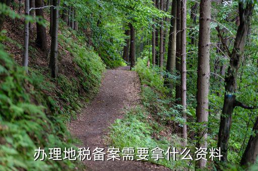 公司地稅備案需要什么資料，辦理地稅備案需要拿什么資料