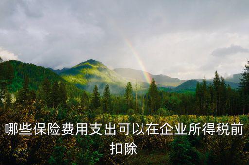 什么保險(xiǎn)可以稅前扣除，哪些保險(xiǎn)費(fèi)用支出可以在企業(yè)所得稅前扣除