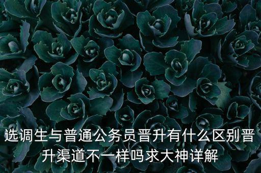選調(diào)生與普通公務員晉升有什么區(qū)別晉升渠道不一樣嗎求大神詳解