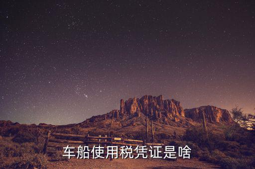 車船稅繳納憑證是什么意思，車船使用稅憑證是啥