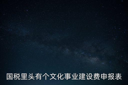 國稅里頭有個文化事業(yè)建設(shè)費申報表