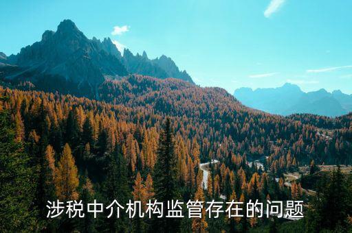 社會組織涉稅方面有什么問題，涉稅中介機構(gòu)監(jiān)管存在的問題