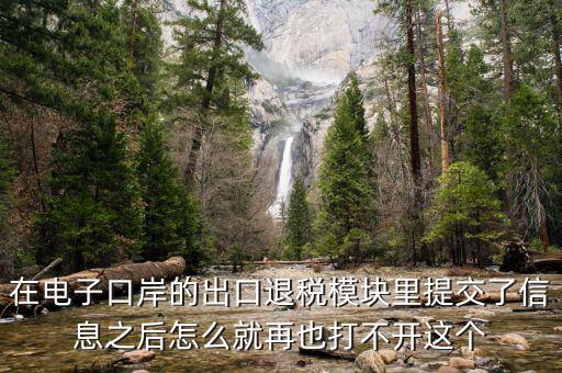 為什么退稅平臺進不去，在電子口岸的出口退稅模塊里提交了信息之后怎么就再也打不開這個
