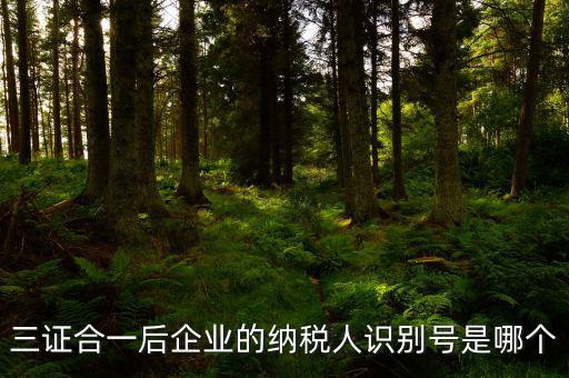 三證合一的納稅人識(shí)別號(hào)是什么，三證合一后企業(yè)的納稅人識(shí)別號(hào)是哪個(gè)