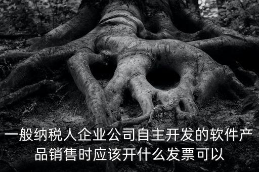 賣軟件交什么稅，一般納稅人企業(yè)公司自主開發(fā)的軟件產(chǎn)品銷售時應該開什么發(fā)票可以