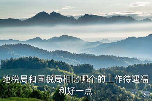 地稅局有什么福利，地稅局和國(guó)稅局相比哪個(gè)的工作待遇福利好一點(diǎn)