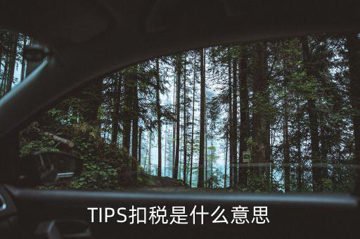 稅務(wù)tips是什么意思，tips扣稅是什么意思
