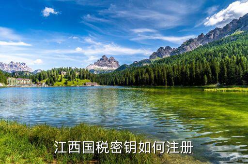江西國稅密鑰是什么意思，為啥江西國稅的CA密鑰總是裝不成功