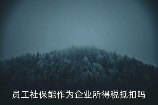 企業(yè)社?？梢缘质裁炊悾瑔T工社保能作為企業(yè)所得稅抵扣嗎