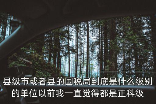 縣國稅局辦稅服務廳主任是什么級別，縣地稅局辦公室主任是什么行政級別