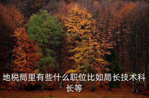 地稅局有什么委員，地級(jí)市稅務(wù)局辦公室副主任屬什么級(jí)別的官員