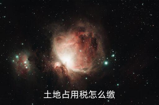 土地占用繳納什么稅，土地使用占用稅是什么