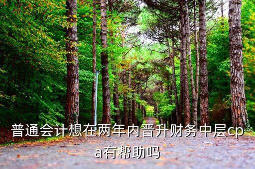 國稅有什么升職路線，普通會(huì)計(jì)想在兩年內(nèi)晉升財(cái)務(wù)中層cpa有幫助嗎