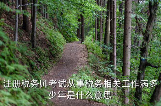 稅務(wù)從業(yè)人數(shù)是什么意思，請問稅務(wù)自查表中的查 數(shù)是什么意思急