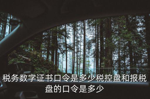 國稅證書口令是什么，我想問下國家稅務(wù)網(wǎng)上申報點擊安全登錄時出現(xiàn)的用戶口令是什么