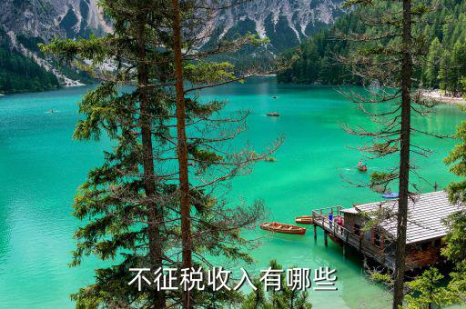 不征稅收入都有什么，不征稅收入有哪些