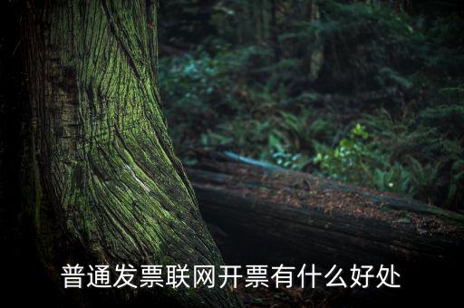 普通網(wǎng)絡(luò)發(fā)票有什么用，開普通發(fā)票網(wǎng)絡(luò)受理號有什么作用