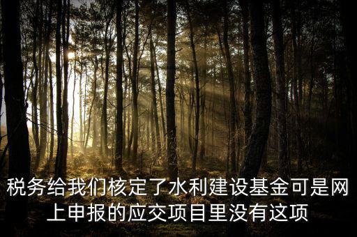 為什么水利建設(shè)無(wú)法申報(bào)，地稅電子稅務(wù)局的水利基金下滑找不到申報(bào)怎么辦