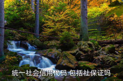 社會(huì)信用代碼是什么證，信用代碼證是什么