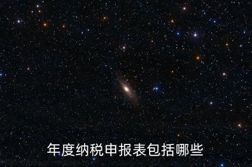 什么是年度納稅申報(bào)表，年度納稅申報(bào)表包括哪些