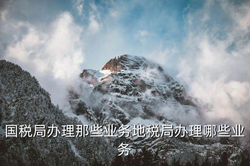 國稅文書經(jīng)辦辦什么業(yè)務(wù)，國稅局是做什么的具體辦理什么業(yè)務(wù)