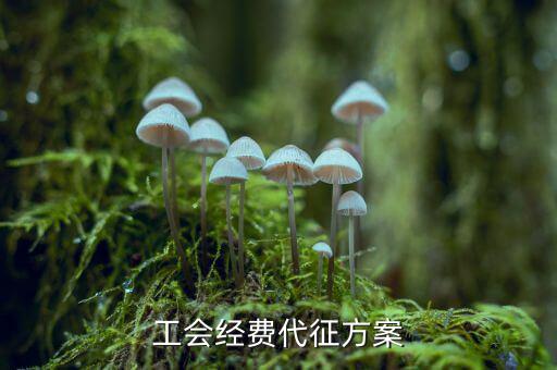 工會經(jīng)費(fèi)為什么委托稅務(wù)機(jī)關(guān)代征，工會經(jīng)費(fèi)交地稅局是怎么回事