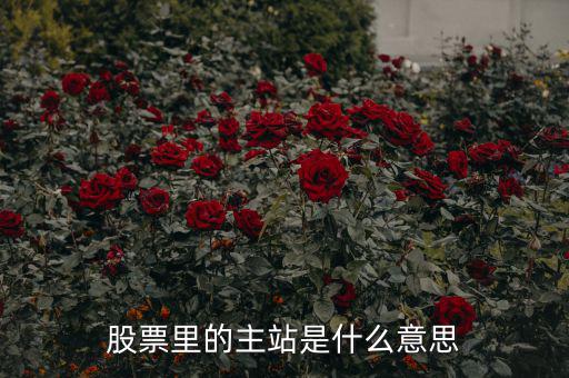 預(yù)控主站票是什么，股票里的主站是什么意思