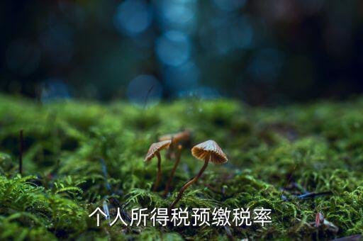 什么是個人所得稅預(yù)征率，個人所得稅預(yù)扣預(yù)繳是什么意思