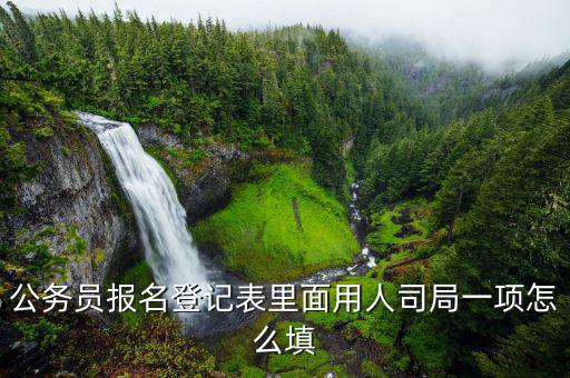 國(guó)稅局的用人司局填什么，公務(wù)員報(bào)名登記表里面用人司局一項(xiàng)怎么填