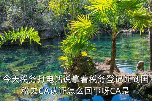 電子稅務(wù)局什么是ca登錄，網(wǎng)上報稅CA驗證系統(tǒng)是甚么