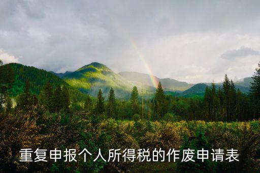 申報表作廢申請單 要帶什么，國稅報表作廢帶什么