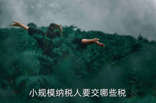 小規(guī)模納稅人報(bào)什么稅，小規(guī)模納稅人要交哪些稅