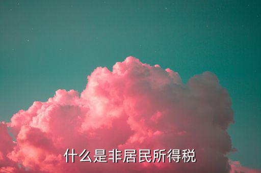 什么是非居民所得稅申報(bào)，什么是非居民所得稅