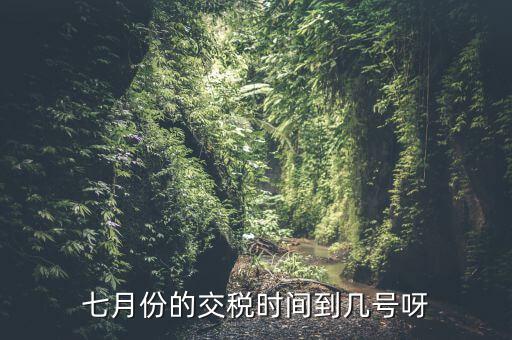福建地稅7月報稅到什么時候，請問7月份國稅地稅的征期截止到哪天