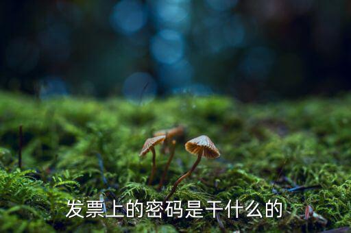 湖南汽車發(fā)票密碼是什么意思，發(fā)票上的密碼是做什么用的啊