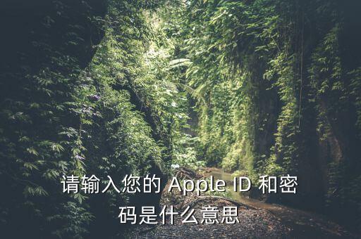 查詢個(gè)稅 密碼是輸入什么，請(qǐng)輸入您的 Apple ID 和密碼是什么意思