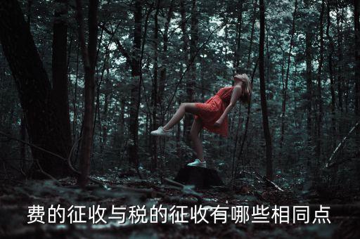 稅與費(fèi)有什么區(qū)別 稅收具有，費(fèi)的征收與稅的征收有哪些相同點(diǎn)