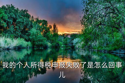 為什么自然人個稅平臺沒法交稅，為什么自然人扣繳端稅費繳納頁面一直顯示不出來