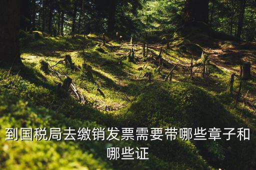 繳銷出口商品統(tǒng)一發(fā)票要蓋什么章，到國稅局去繳銷發(fā)票需要帶哪些章子和哪些證