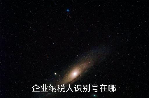 什么是企業(yè)識(shí)別號(hào)，購(gòu)票企業(yè)識(shí)別號(hào) 是不是 我們企業(yè)的稅號(hào)