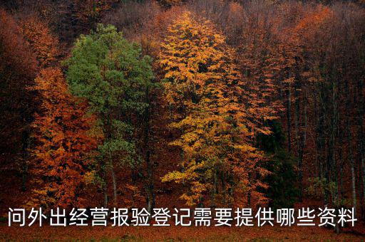 外管證報驗都需要什么資料，辦外管證需要哪些資料