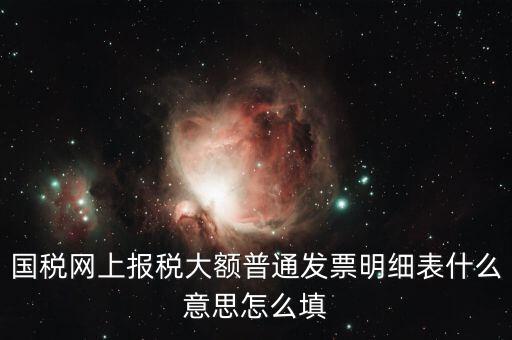 發(fā)票里的明細(xì)是什么意思，國稅網(wǎng)上報稅大額普通發(fā)票明細(xì)表什么意思怎么填